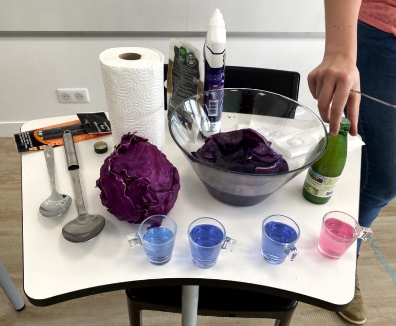 expérience scientifique au collège avec colorants