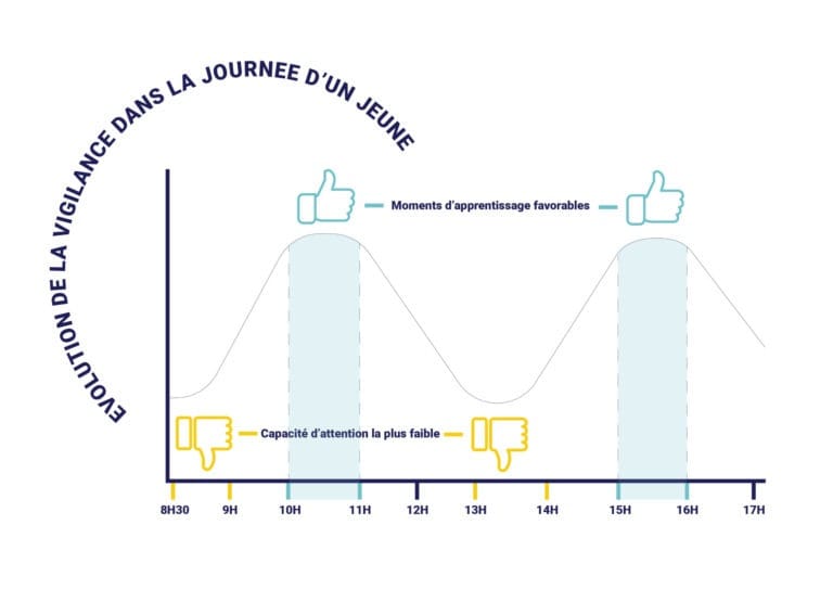 Phases de vigilance