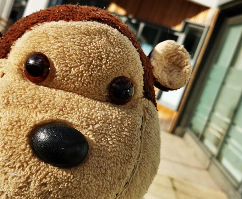 mascotte du collège