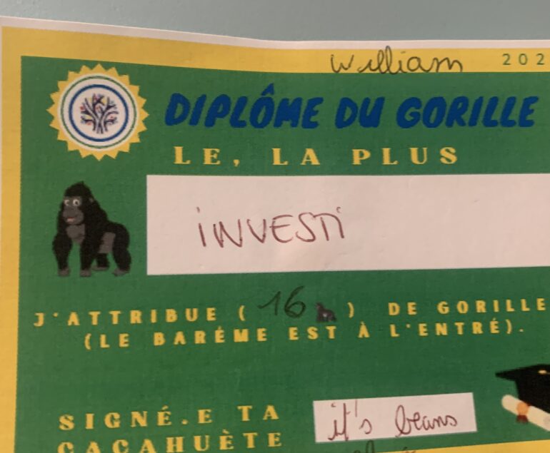 jeu du gorille softskills