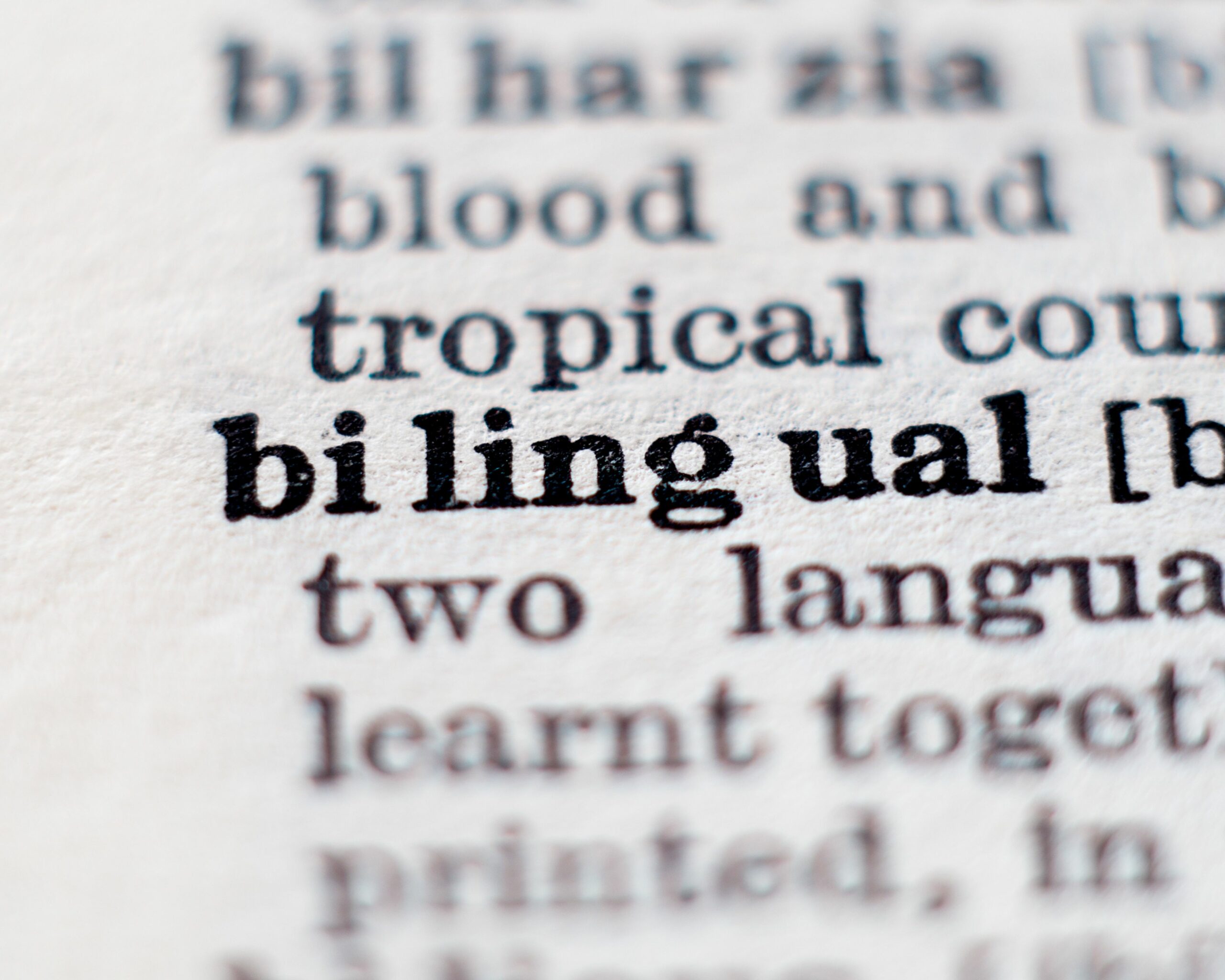 bilingue anglais